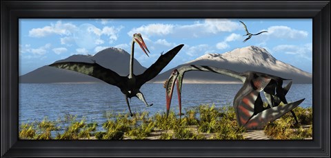 Framed Gigantic Quetzalcoatlus pterosaurs Print