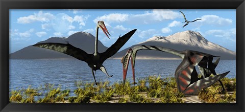 Framed Gigantic Quetzalcoatlus pterosaurs Print