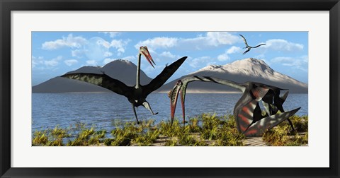 Framed Gigantic Quetzalcoatlus pterosaurs Print