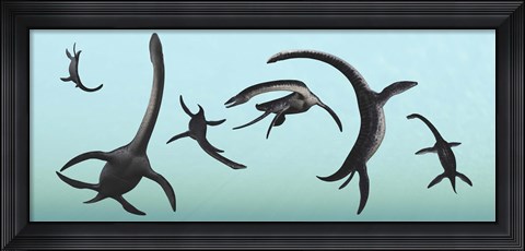 Framed Plesiosaurs Gather Underwater Print