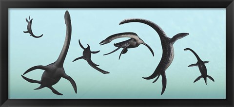 Framed Plesiosaurs Gather Underwater Print