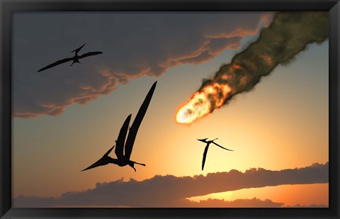 Framed Pteranodons in Flight Print