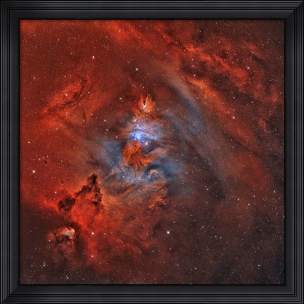 Framed Christmas Tree Nebula Print