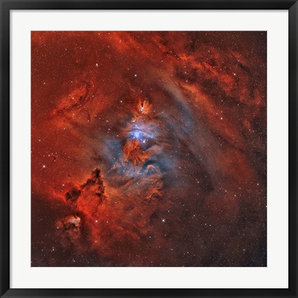Framed Christmas Tree Nebula Print