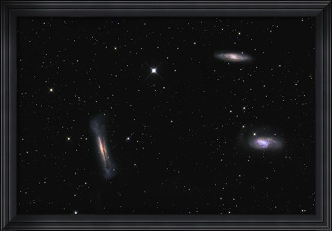 Framed Leo Triplet Print
