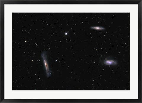 Framed Leo Triplet Print