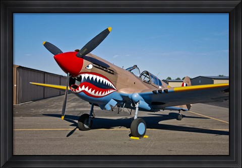 Framed Curtiss P-40E Warhawk Print