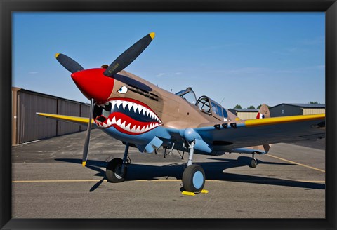 Framed Curtiss P-40E Warhawk Print