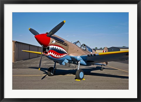 Framed Curtiss P-40E Warhawk Print