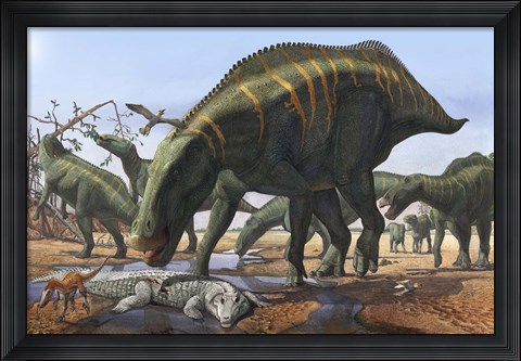 Framed Shantungosaurus Dinosaurs Print