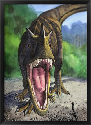 Framed Ceratosaurus Dentisulcatus Print