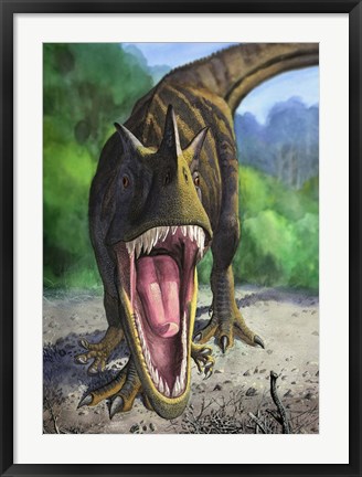 Framed Ceratosaurus Dentisulcatus Print