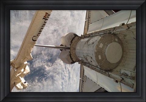 Framed Harmony Node Print