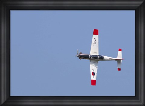 Framed T-50 Golden Eagle Print