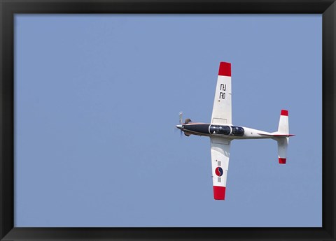 Framed T-50 Golden Eagle Print