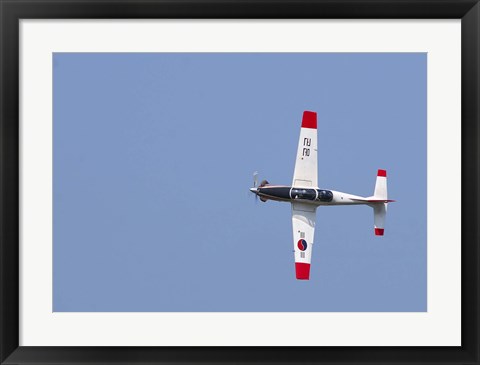 Framed T-50 Golden Eagle Print