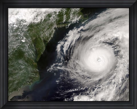 Framed Hurricane Alex Print