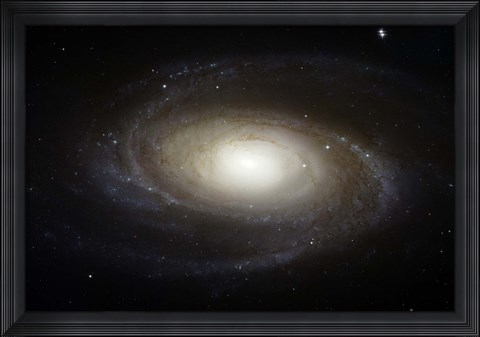 Framed Spiral Galaxy M81 Print