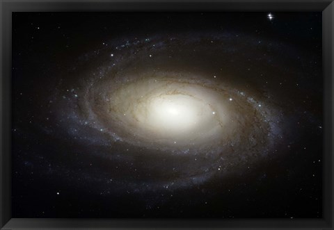 Framed Spiral Galaxy M81 Print