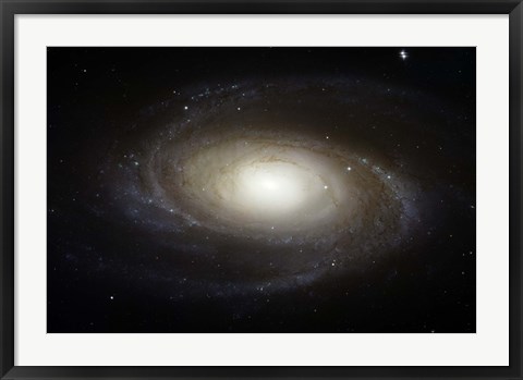 Framed Spiral Galaxy M81 Print