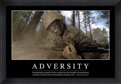 Framed Adversity: Inspirational Quote and Motivational Poster Print