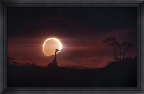 Framed Solar Eclipse over Africa Print