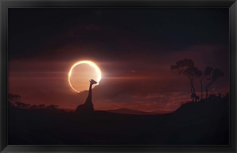 Framed Solar Eclipse over Africa Print