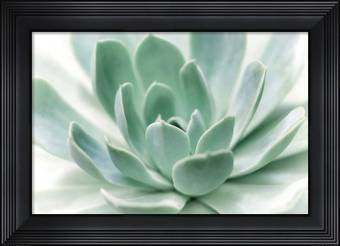 Framed Zen Print