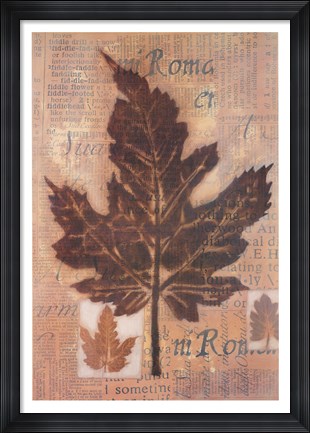 Framed Harvest II Print