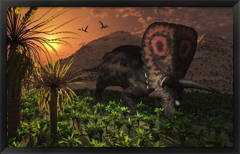 Framed Lone Torosaurus Dinosaur Print