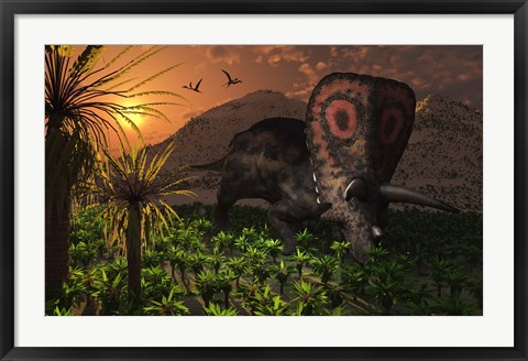 Framed Lone Torosaurus Dinosaur Print