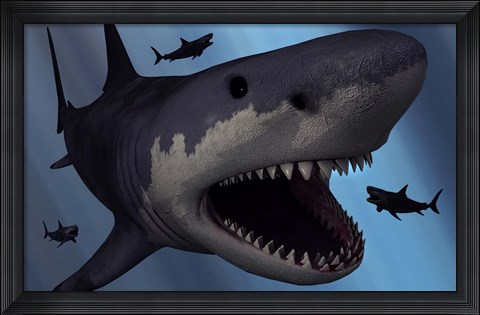 Framed Megalodon Shark Print