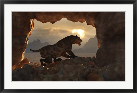 Framed Sabre Tooth Tiger at Home Print