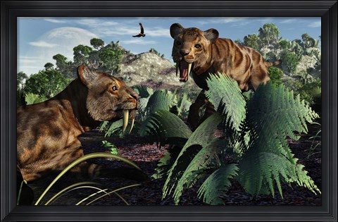 Framed Sabre-Toothed Tigers in Pleistocene Time Print