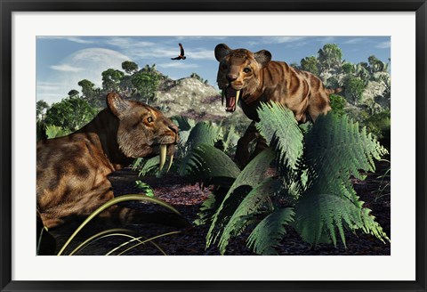 Framed Sabre-Toothed Tigers in Pleistocene Time Print