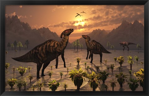 Framed T Rex and Parasaurolophus Duckbill Dinosaurs Print