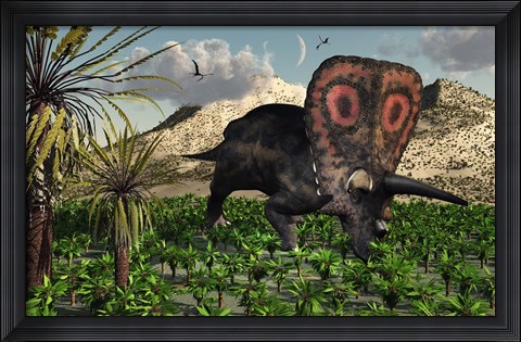 Framed Torosaurus Dinosaur Print
