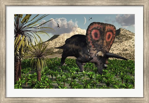 Framed Torosaurus Dinosaur Print