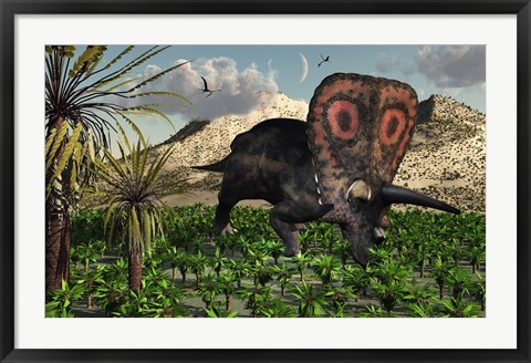 Framed Torosaurus Dinosaur Print