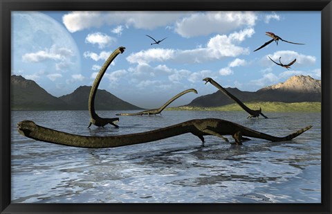 Framed Illustration of Tanystropheus Reptiles Print