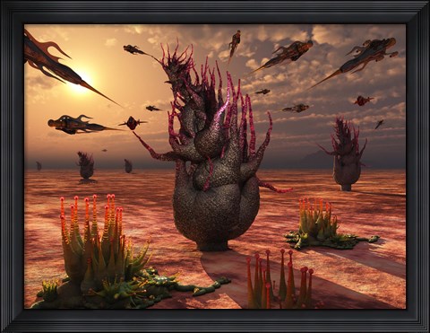 Framed Artificial Insects Print