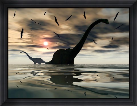 Framed Diplodocus Dinosaurs Print