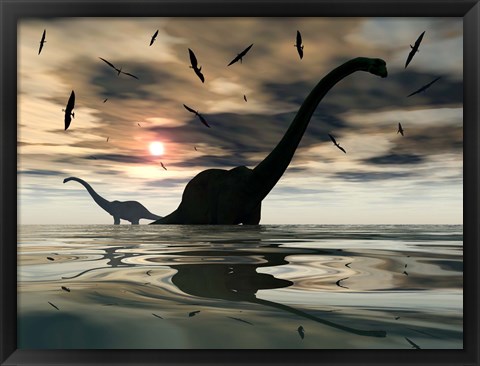 Framed Diplodocus Dinosaurs Print