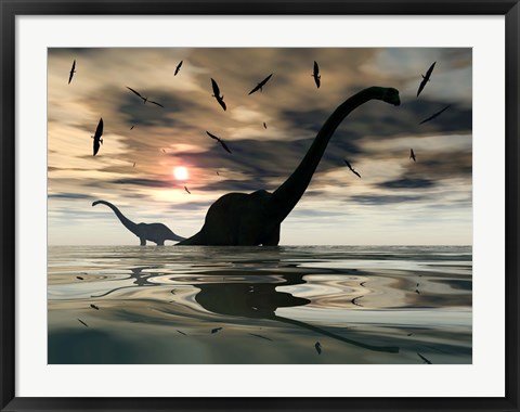 Framed Diplodocus Dinosaurs Print