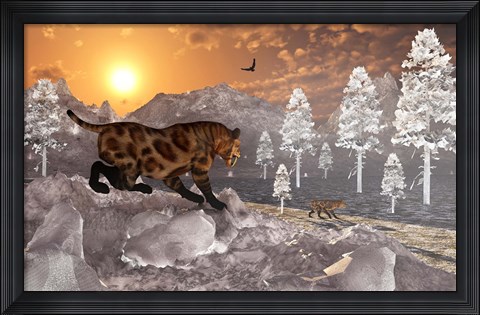 Framed Sabre Tooth Tigers in Winter Print