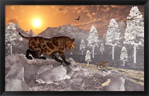 Framed Sabre Tooth Tigers in Winter Print