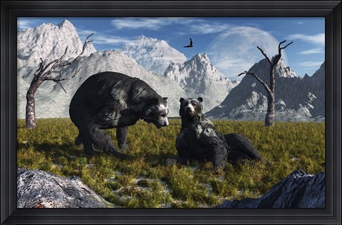 Framed Arctodus Bears Print
