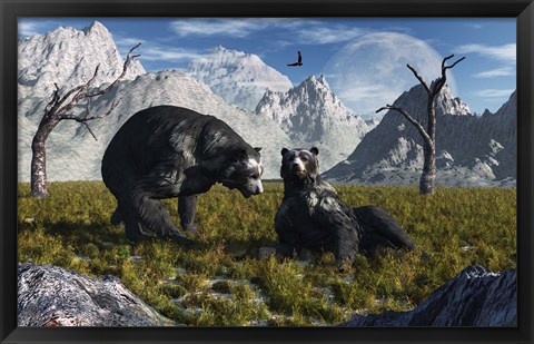 Framed Arctodus Bears Print