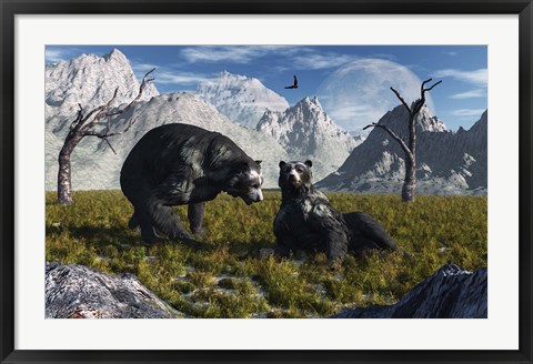 Framed Arctodus Bears Print