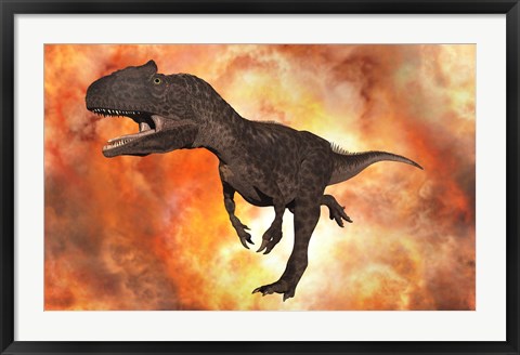 Framed Carnivorous Allosaurus Print